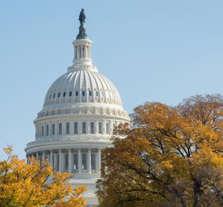 U.S. Capitol Dome in Washington, DC