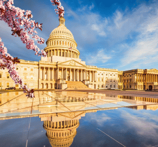 The U.S. Capitol, Washington D.C.