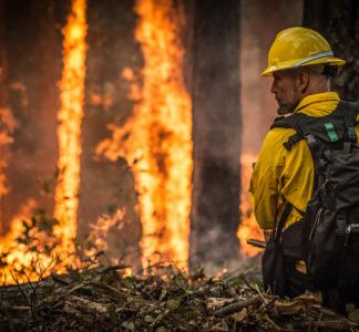 A firefighter in Oregon oversees a prescribed burn to help stop a larger wildfire. 