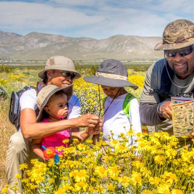 CA_SantaRosa-SantaJacintoMountains_NM__BobWick-BLM170319_02 Thumbnail