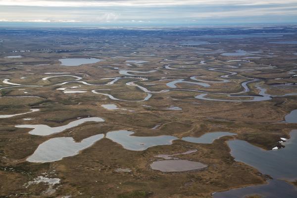 National Petroleum Reserve, Alaska