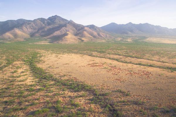 Coronado National Forest, Arizina.