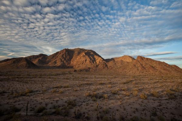 Brown mountains in Sonoran Desert National Monument, AZ