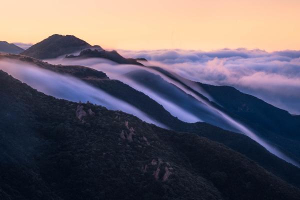 Los Padres National Forest, California