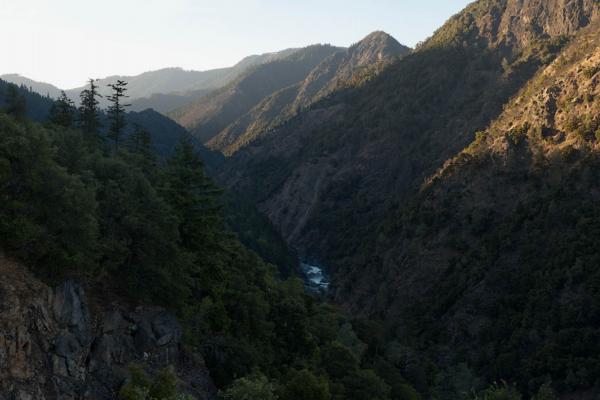 Shasta Trinity National Forest, California.