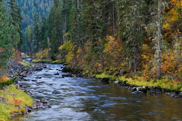 Clearwater River, ID