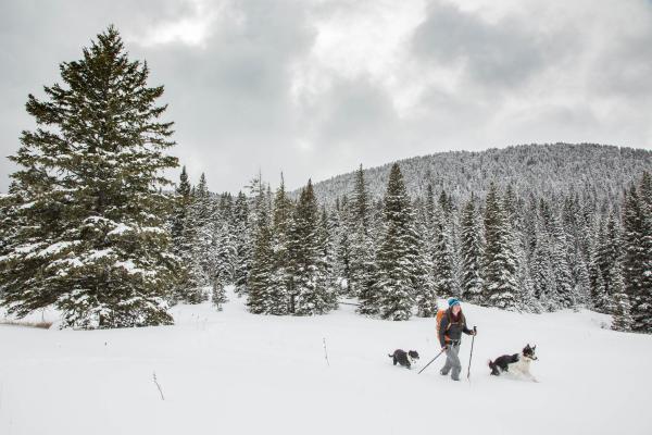 Gallatin National Forest, Montana