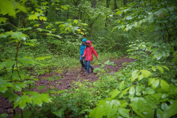 Hikers on the Appalachian Trail in Pisgah National Forest, North Carolina.