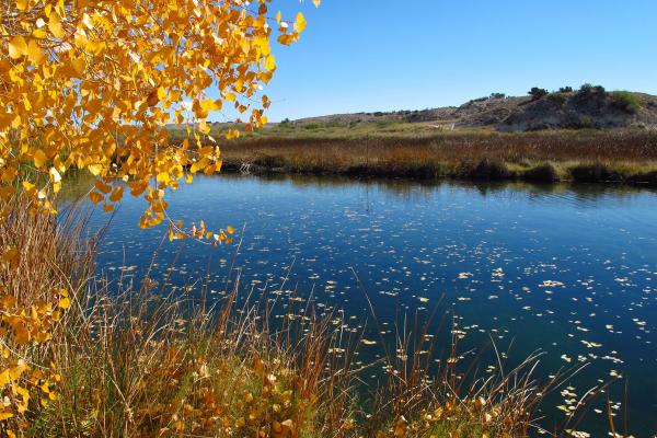 Chihuahuan Desert and Rivers, New Mexico