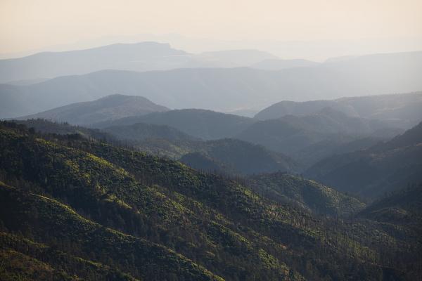 Gila National Forest, New Mexico