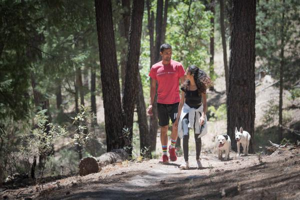 Hikers in Gila National Forest, New Mexico