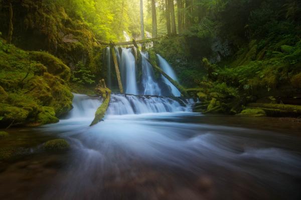 Gifford Pinchot National Forest, Oregon