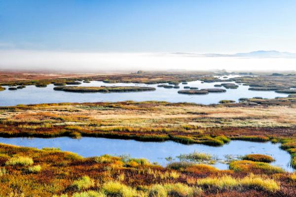 Malheur National Wildlife Refuge, Oregon.