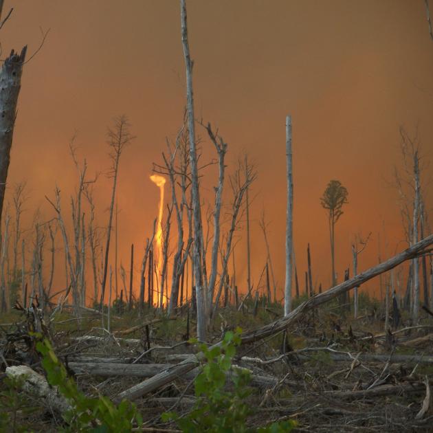 Wildfire at the Great Dismal Swamp