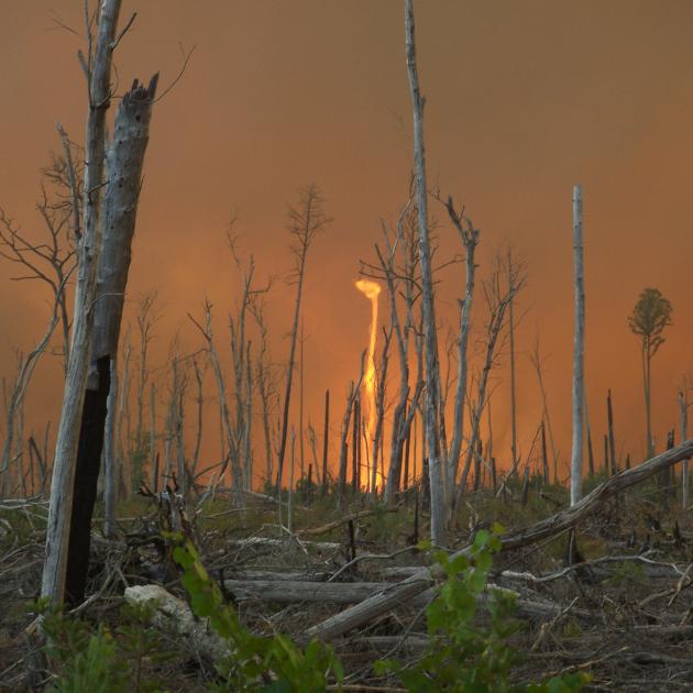 Wildfire Great Dismal Swamp
