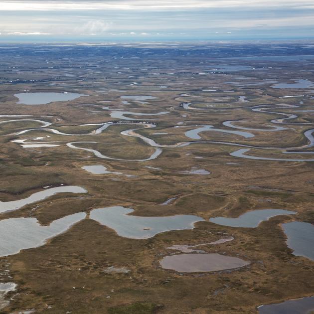 National Petroleum Reserve, Alaska