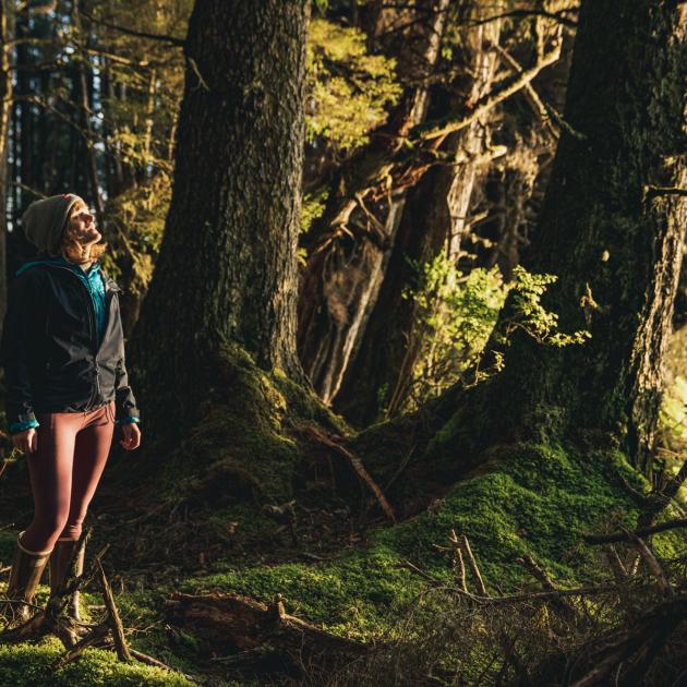 Person with hat and jacket looking to the right of the frame toward a source of light filtering through mossy trees