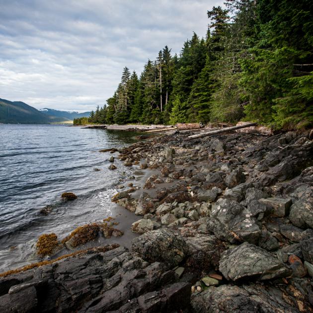 Tongass National Forest, Alaska