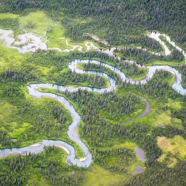 aerial view of river through greenery