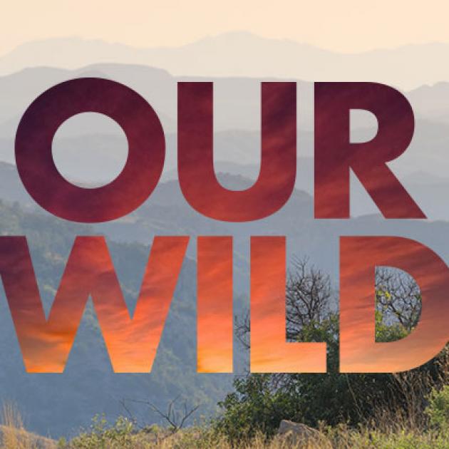 Defend Our Wild in Arizona Graphic
