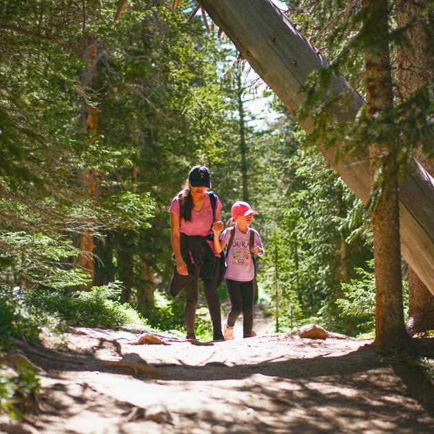 Woman walking with child toward foreground along sunlit forest oath with tall trees surrounding them