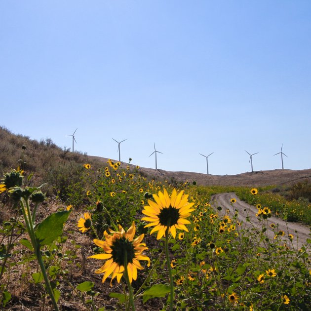 Wind farm