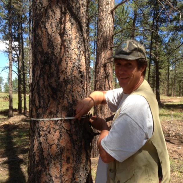 person sizing tree