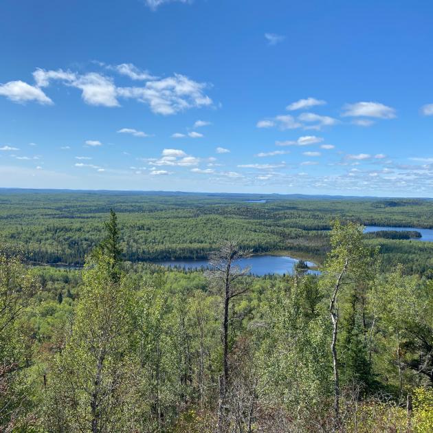 Green tree-tops in foreground with lake-dotted forest landscape in the background under blue sky