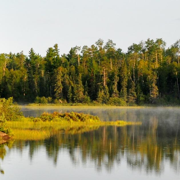 Lake with mist drifting across the surface, surrounded by evergreen forest