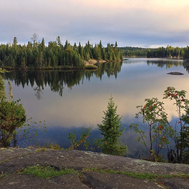 Light reflecting off lake surface with evergreen trees in foreground and background in Boundary Waters Canoe Area Wilderness, Minnesota