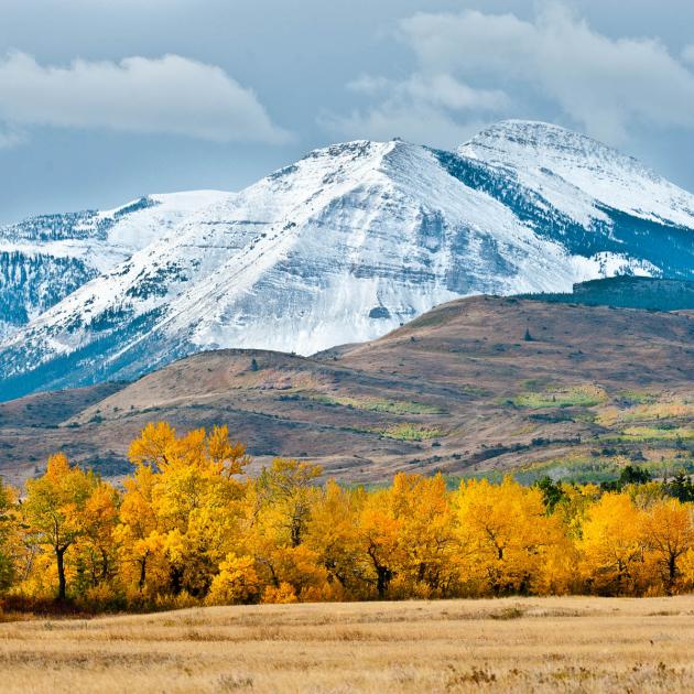 Badger 2 Medicine, Montana.