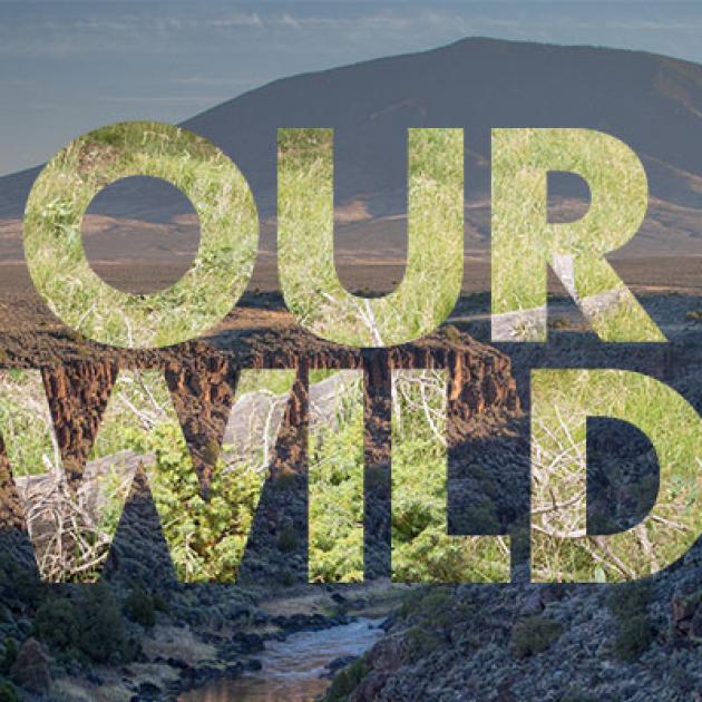 Our Wild New Mexico 
