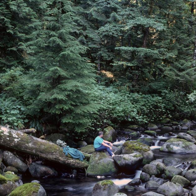 Person seated on a log in a rocky creek with tall evergreen trees behind them