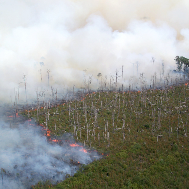 Great Dismal Swamp Wildfire