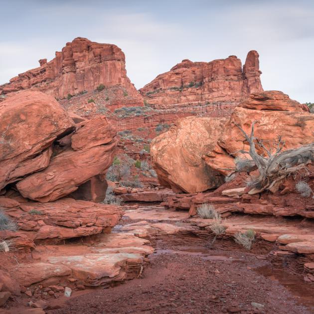 Bears Ears National Monument, Utah