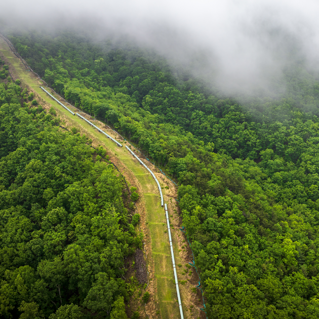 pipeline. through forest 