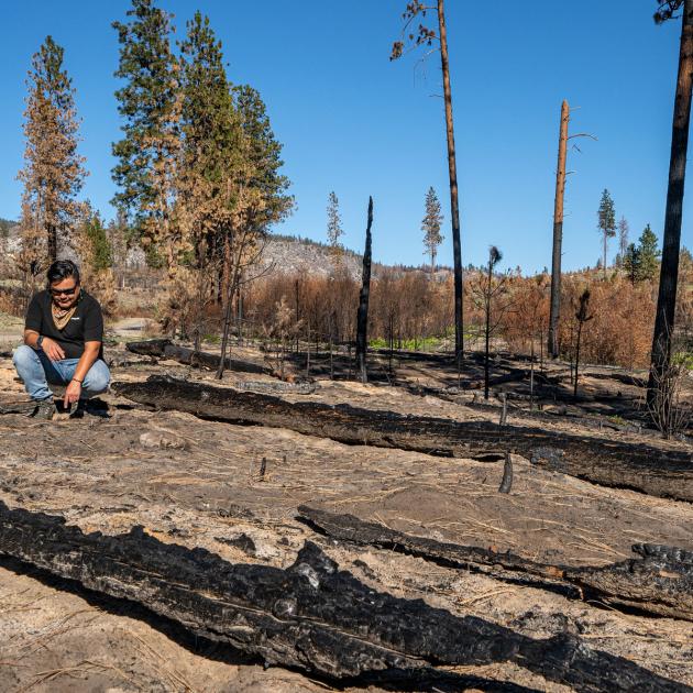 A person assesses the forest floor after a recent wildfire.