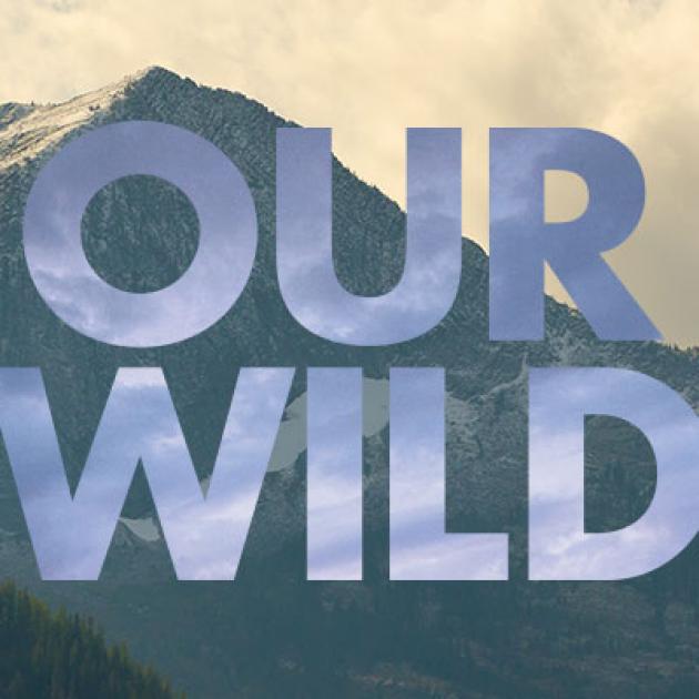 Our Wild Montana graphic