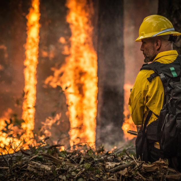 A firefighter in Oregon oversees a prescribed burn to help stop a larger wildfire. 