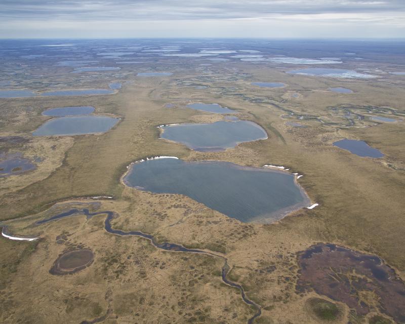 Alaska's Western Arctic
