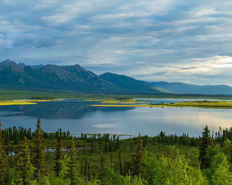 A scenic lake in the Arctic surrounded by evergreen forests and green wetlands, with a rugged mountain range in the background beneath a cloudy blue sky. Sunlight illuminates patches of shoreline vegetation, and the mountains and clouds reflect across the calm water.