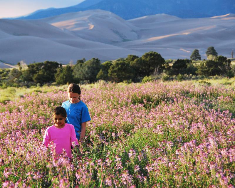 two kids walking on. a field of flowers