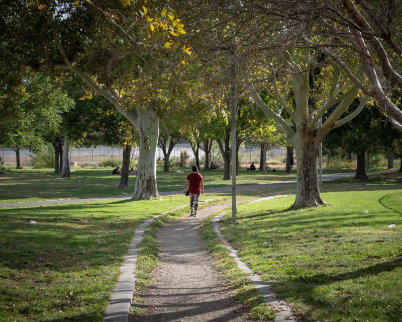 Person walking away from foreground along gravel path between trees in a verdant city park