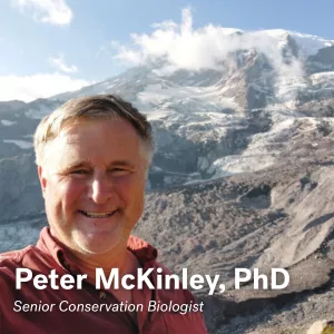 Peter McKinley, Ph. D., Senior Conservation Biologist