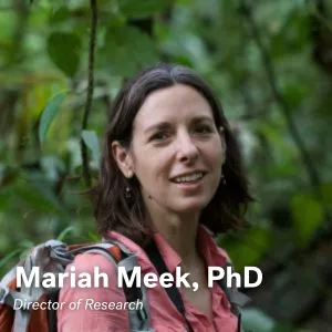 mariah meek phd, director of research