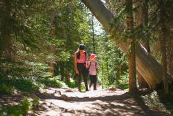 Woman walking with child toward foreground along sunlit forest oath with tall trees surrounding them