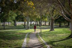 woman walking on trail surrounded by trees