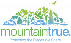 MountainTrue logo